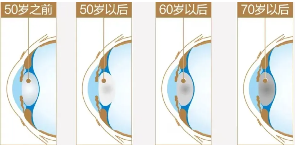 1718764235545986.png