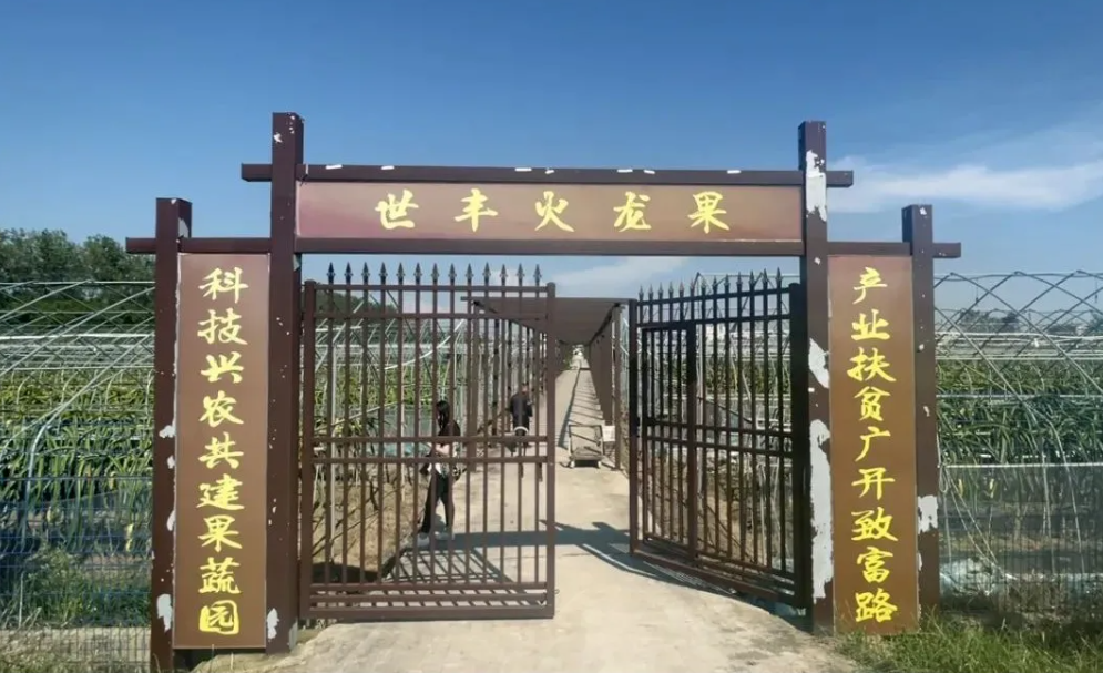 1630549716274370.png