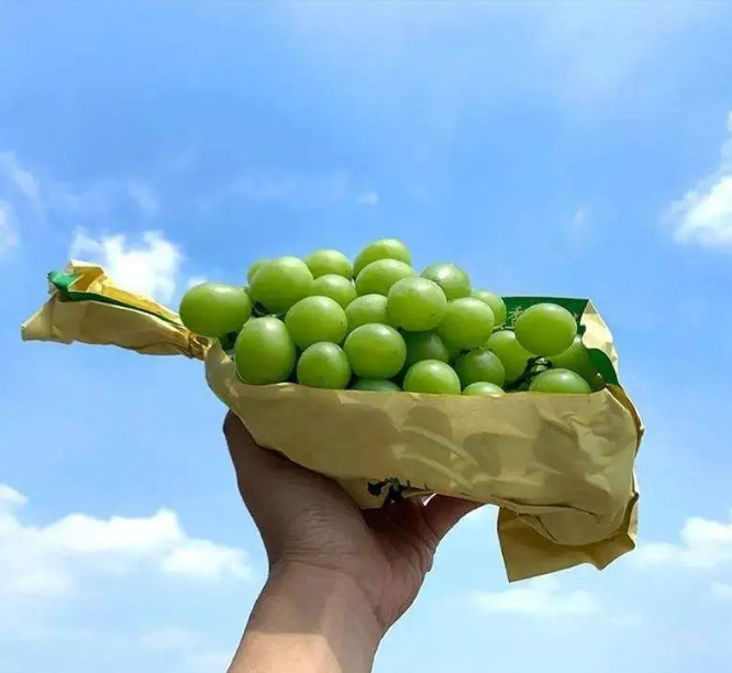 1648865746440502.png