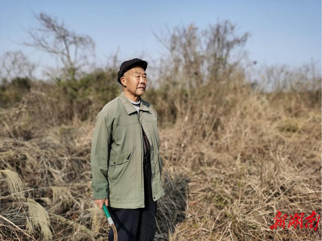 临湘“巧克力”，何时重振雄风？