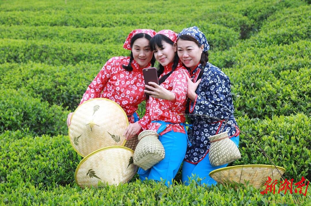 临湘“巧克力”，何时重振雄风？