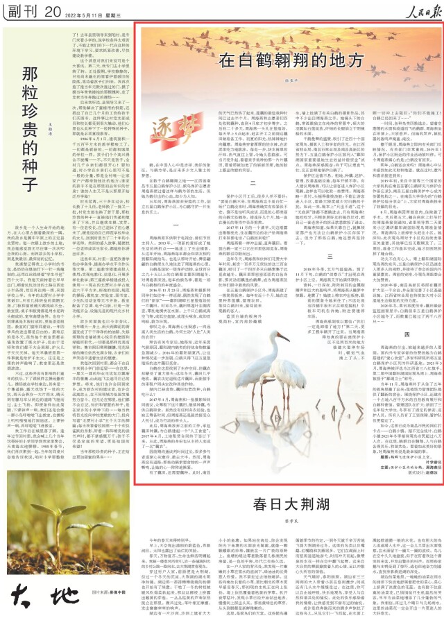 人民日报 | 在白鹤翱翔的地方（逐梦）