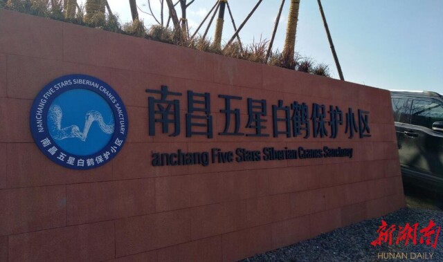 人民日报 | 在白鹤翱翔的地方（逐梦）