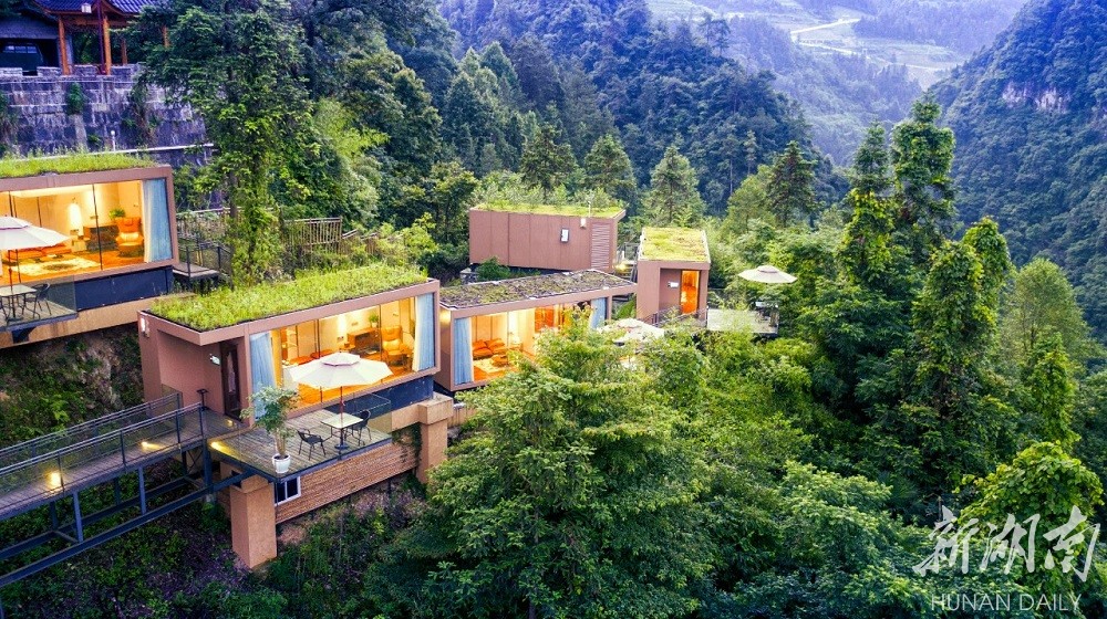 人与自然“诗意栖居”——国家级湿地公园里的生态旅居范本
