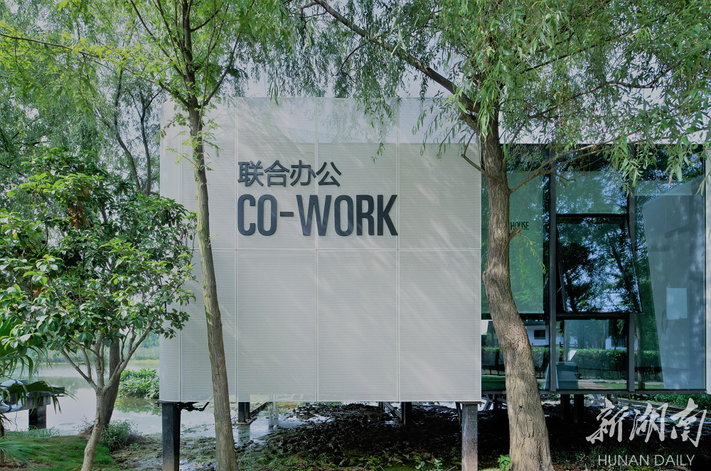 人与自然“诗意栖居”——国家级湿地公园里的生态旅居范本