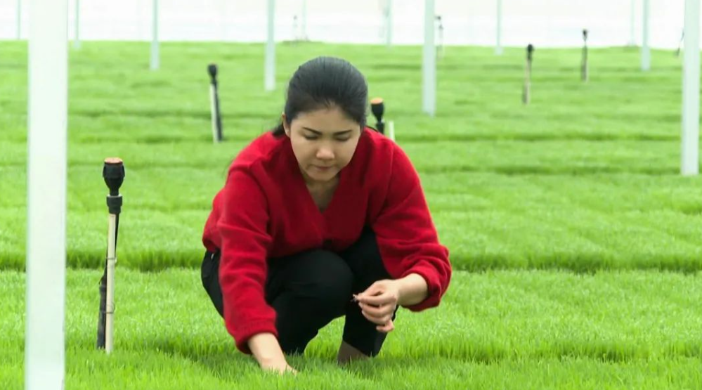 1709604213202176.png